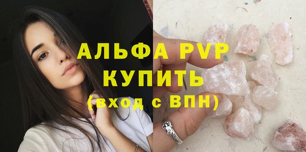 СК Алексин
